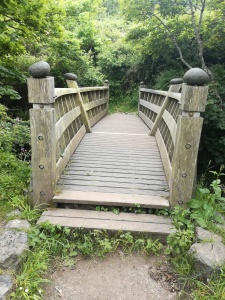 Bowed footbridge