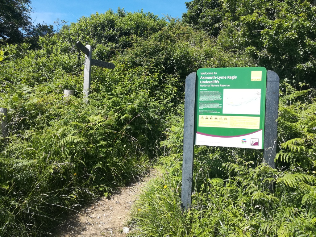 Undercliff path sign